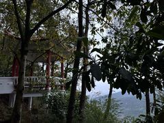 -铁山坪森林公园