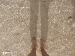 -蒸気海鮮