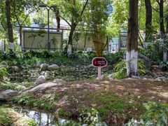 -成都市活水公园