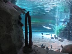 -沈阳海洋探索中心