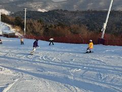 -东北亚滑雪场
