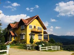-黄色小屋