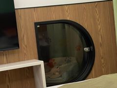 -太阳岛度假酒店