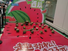 -红星美凯龙北京至尊MALL(东四环中路店)