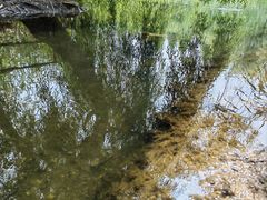 -捞渔河湿地公园