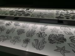 -中国湿地博物馆