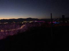 -红光山