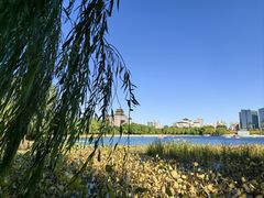 -莲花池公园
