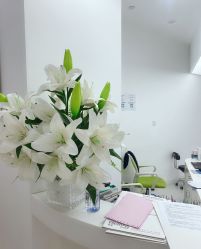 -SKINIST丽铂医疗美容
