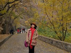 -北京上方山国家森林公园