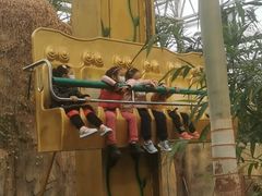 -南宫五洲植物乐园