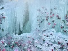 -洛阳白云山景区