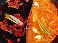 -重庆川渝肥妹火锅