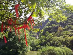 -溪口-滕头旅游景区