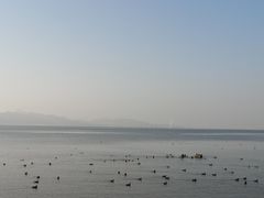 -深圳湾公园(南山区)
