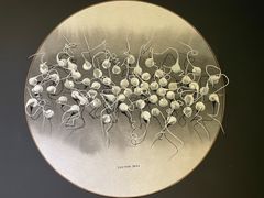 -成都许燎源现代设计艺术博物馆