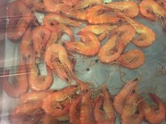 -渔家火锅·海鲜自助餐·演艺(亚龙湾天域酒店)