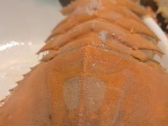 -海玥荟海鲜姿造自助餐厅(欧罗巴广场店)