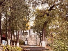 -北京鹫峰国家森林公园