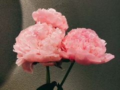 -BOBLOOM花店(宝龙旭辉广场店)