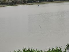 -钟山体育运动公园