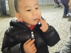 -安德鲁户外烧烤帐篷营地(马泉营店)