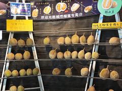 -都念榴莲·城市榴莲