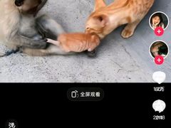-昆明动物园