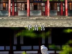 -秦始皇帝陵博物院(兵马俑)