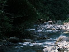 -西岭雪山大飞水景区