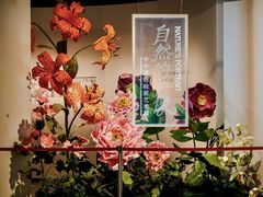 -四川大学博物馆