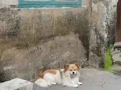 -蔡伦竹海