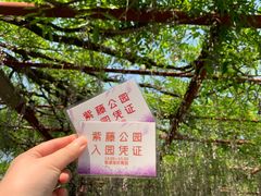 -嘉定紫藤园