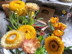 -PlantsEatery·植物食堂(REX春熙店)