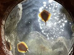 -珠海长隆海洋王国
