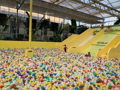 -南宫五洲植物乐园