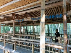 -宁波浙东大竹海景区