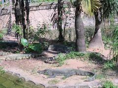 -深圳野生动物园