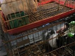 -锦尚阁烤鱼•天津菜(宣武门胡同店)