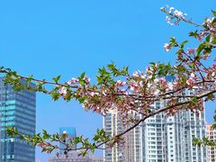 -西北湖绿化广场