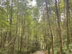 -凤栖山