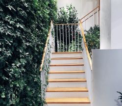 -悦诗风吟innisfree