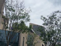 -四川大学博物馆