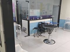 -天宠宠物医院24小时·急重症诊疗中心·全科·腔镜特色(和平分院)