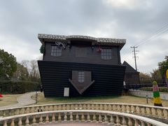 -金山农民画村-枫泾波兰倒置屋