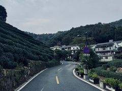 -龙井村