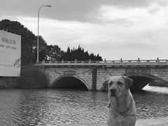 -东钱湖旅游度假区