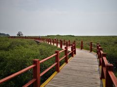 -北海金海湾红树林生态旅游区