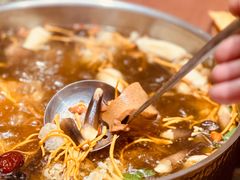 -菌子鲜汤野生菌锅