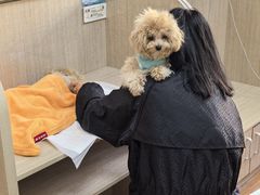 -北京观赏动物医院·24小时大型综合·猫专科·异宠专科